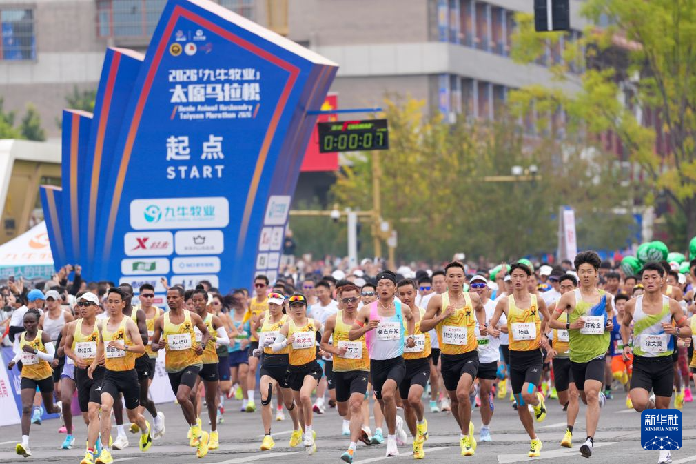 了解拥有相当不错的游戏实力。