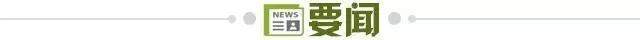 bg真人视讯案例展示